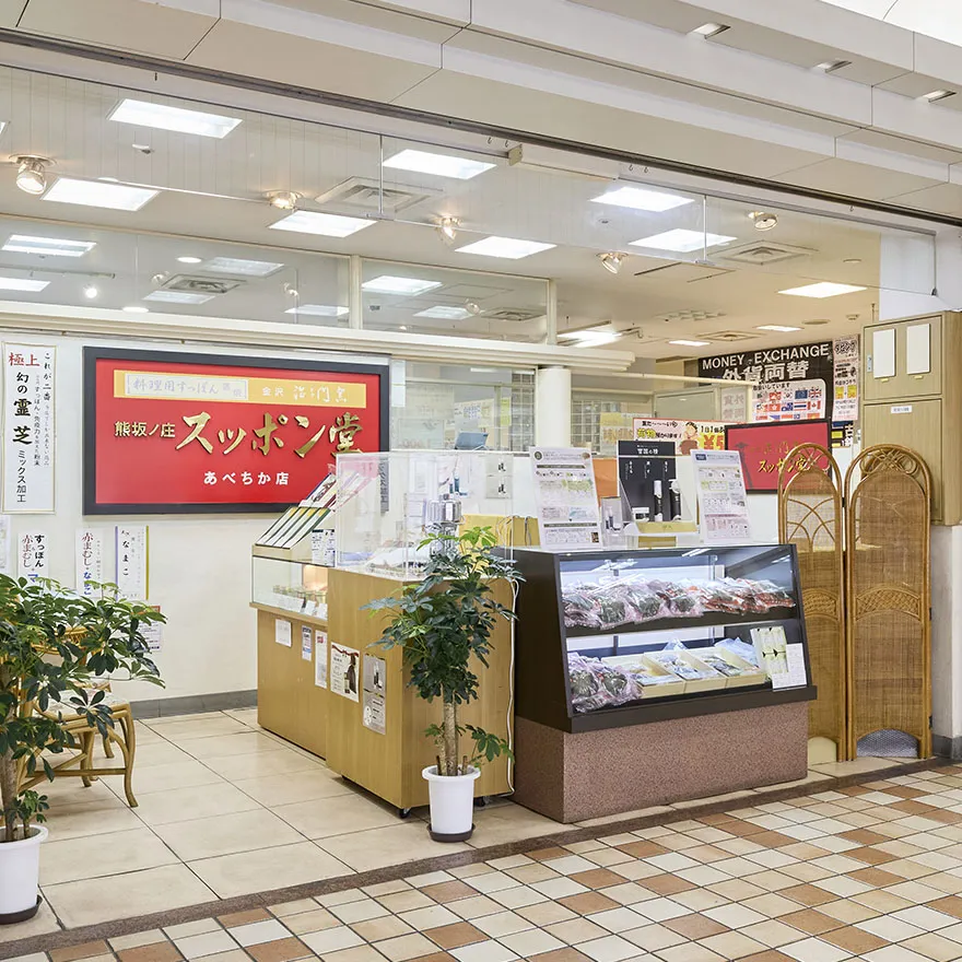 KANAZAWAJIYOMONGAMA SUPPONDOU